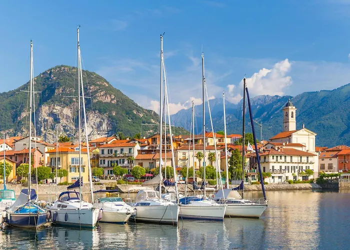 Petalo Bianco 100m From - Happy *